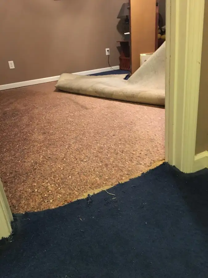Carpet pad removal revealing water damage during Water Mitigation Services in Raymondville