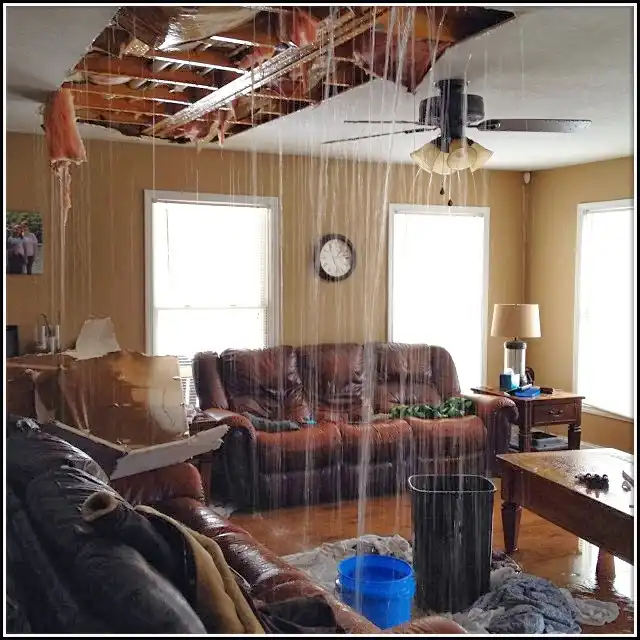 Water Damage Restoration services in Raymondville, TX