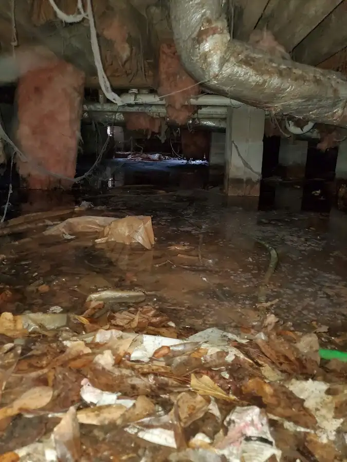 Crawl space flood assessment for Leak Detection & Repair in Raymondville